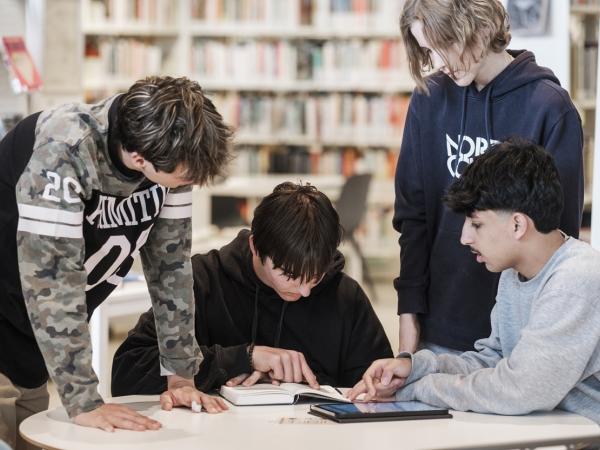 Bibster in Sint-Niklaas
